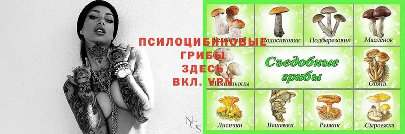 Псилоцибиновые грибы Magic Shrooms  купить  сайты  Бирск 